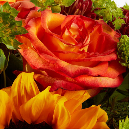 Harvest Festival Bouquet –  Delhi Flowers, Delhi ON