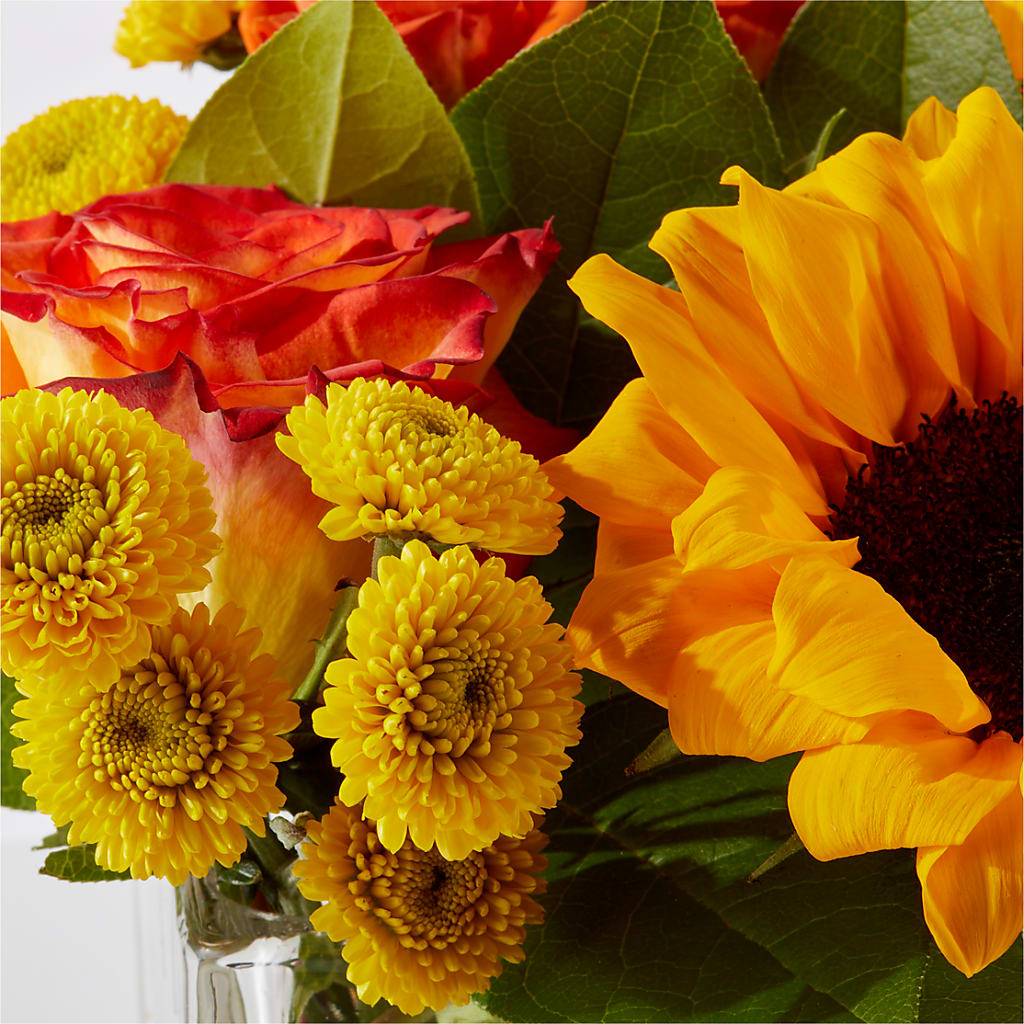 Picnic in the Park Bouquet –  Delhi Flowers, Delhi ON