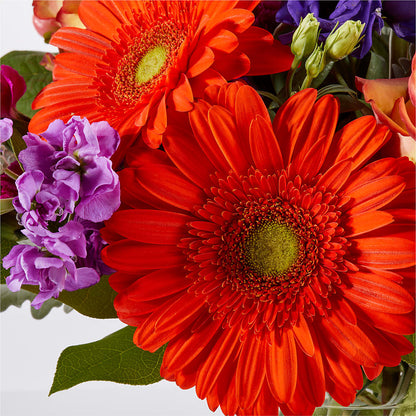 Sangria Bouquet –  Delhi Flowers, Delhi ON