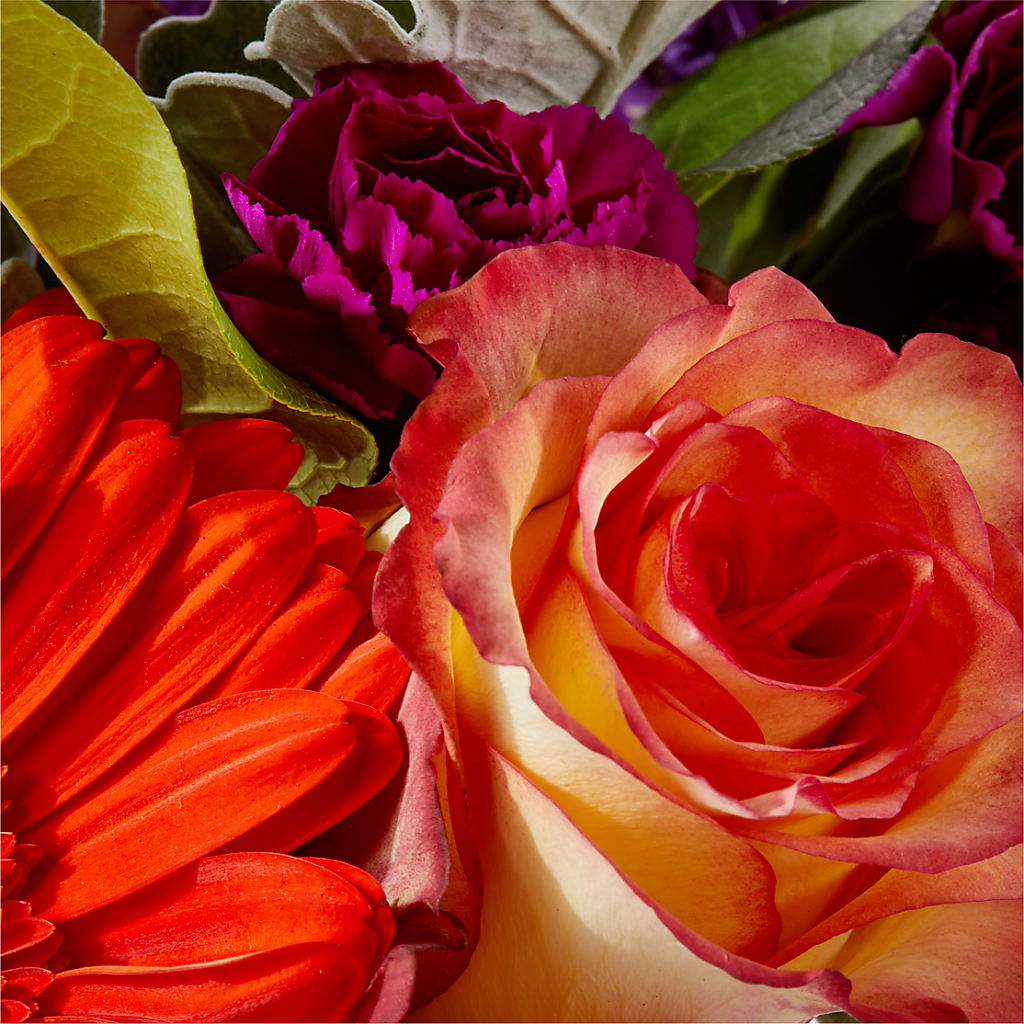 Sangria Bouquet –  Delhi Flowers, Delhi ON