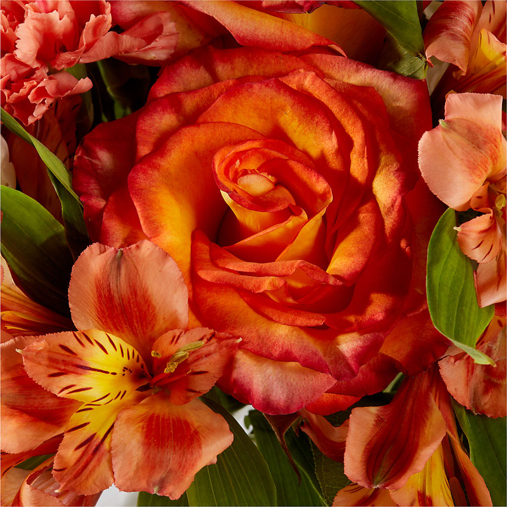 Apricot Glow Bouquet –  Delhi Flowers, Delhi ON