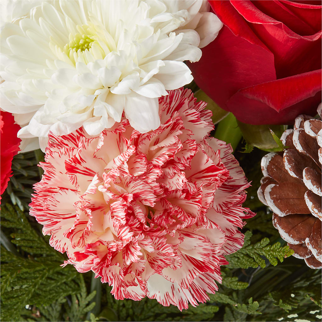 Candy Cane Lane Bouquet –  Delhi Flowers, Delhi ON