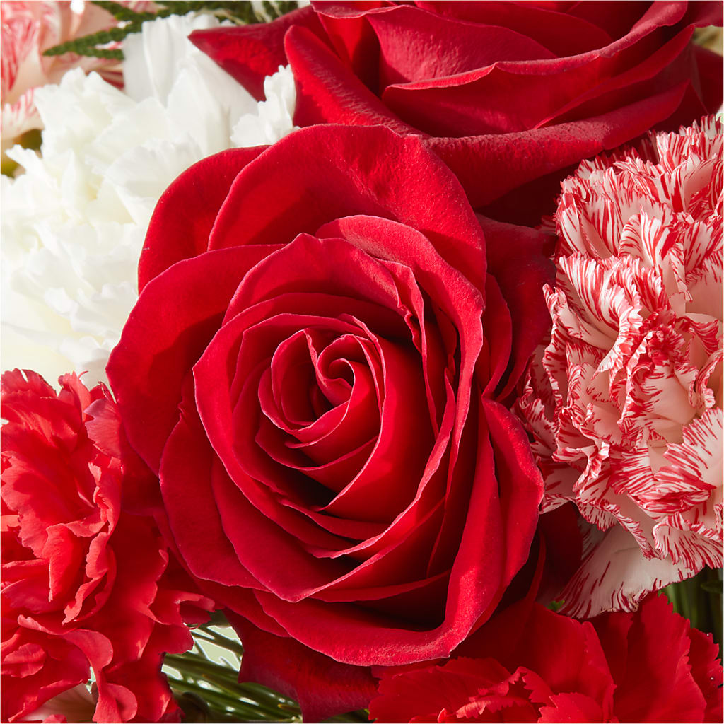 Candy Cane Lane Bouquet –  Delhi Flowers, Delhi ON