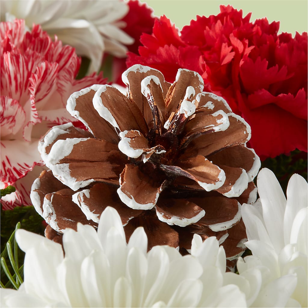 Candy Cane Lane Bouquet –  Delhi Flowers, Delhi ON