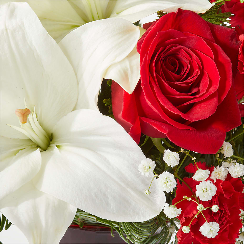 Holiday Season Bouquet –  Delhi Flowers, Delhi ON