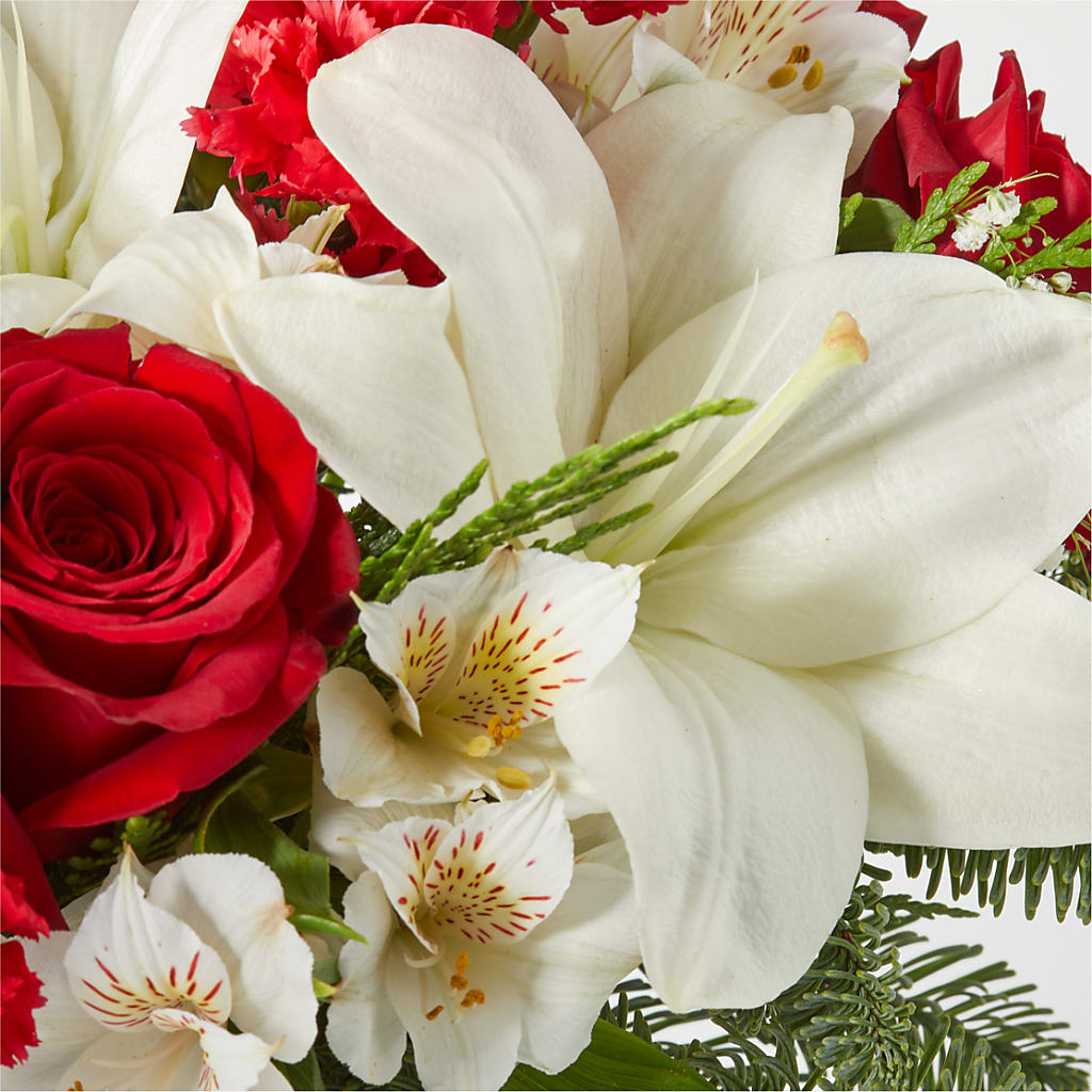 Holiday Season Bouquet –  Delhi Flowers, Delhi ON