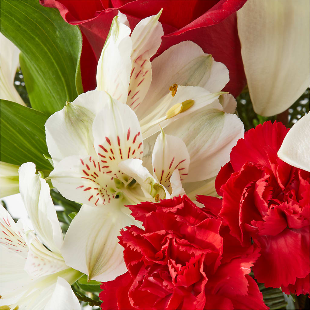 Holiday Season Bouquet –  Delhi Flowers, Delhi ON