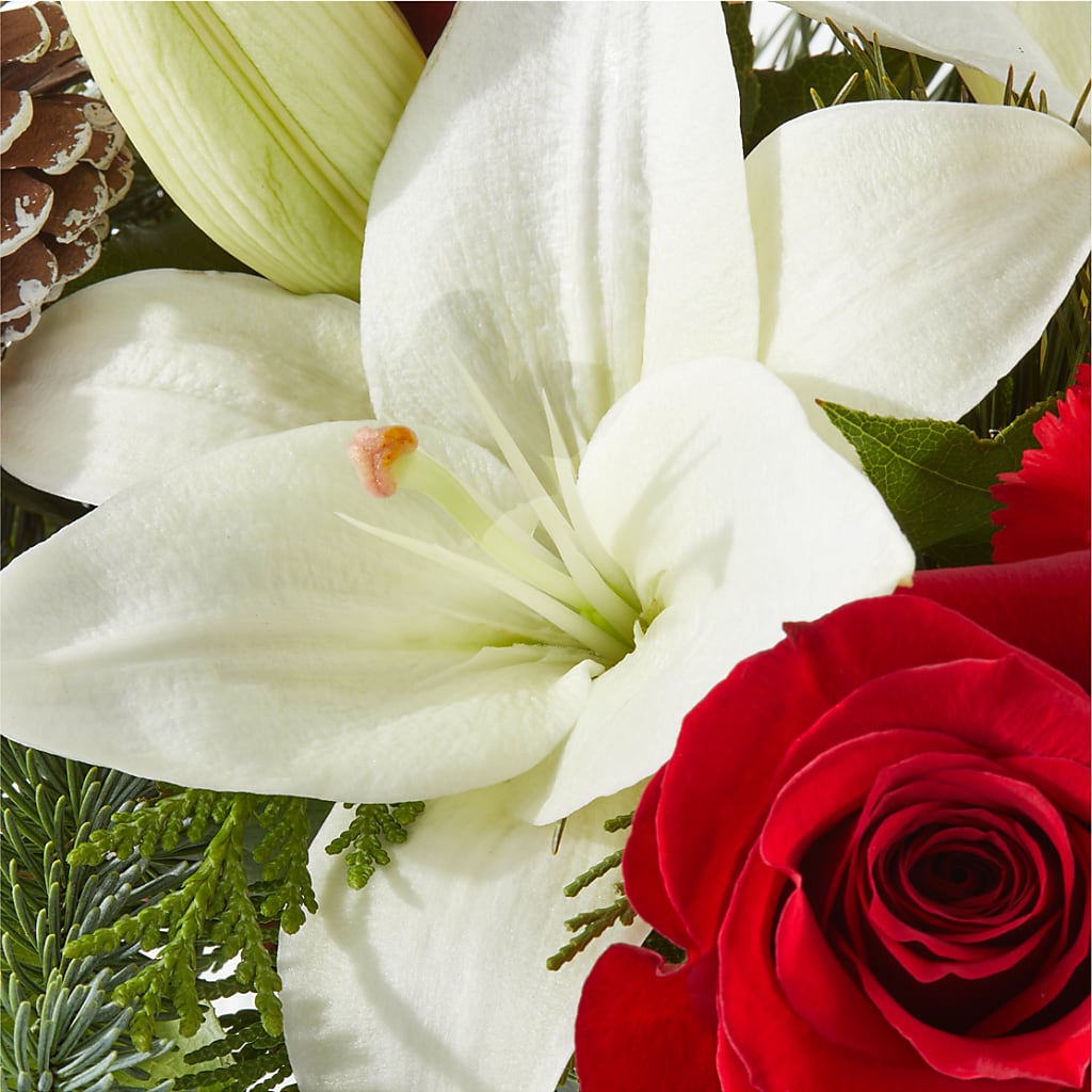 Oh So Jolly Bouquet –  Delhi Flowers, Delhi ON