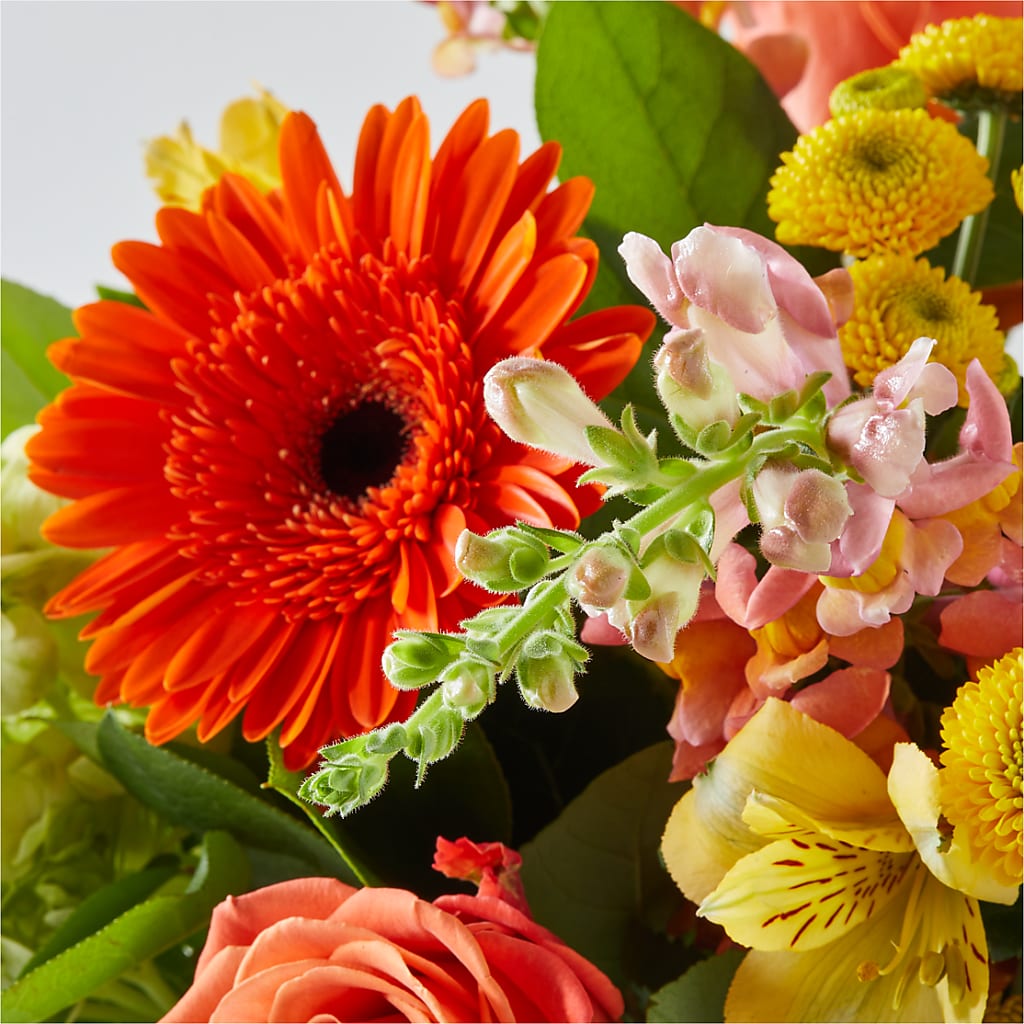 Autumn Sunshine Bouquet –  Delhi Flowers, Delhi ON