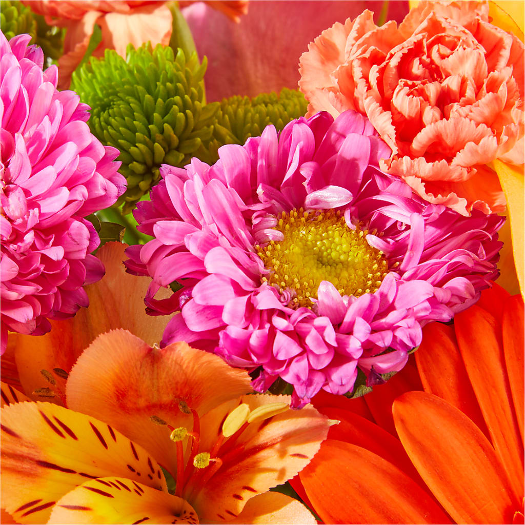 Soiree Bouquet –  Delhi Flowers, Delhi ON