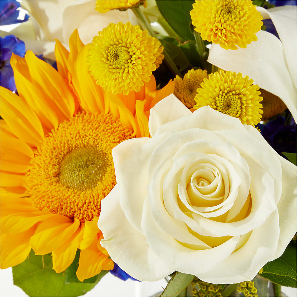 Stargazing Bouquet –  Delhi Flowers, Delhi ON
