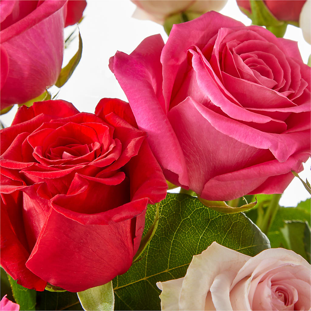 Charming Rose Bouquet –  Delhi Flowers, Delhi ON