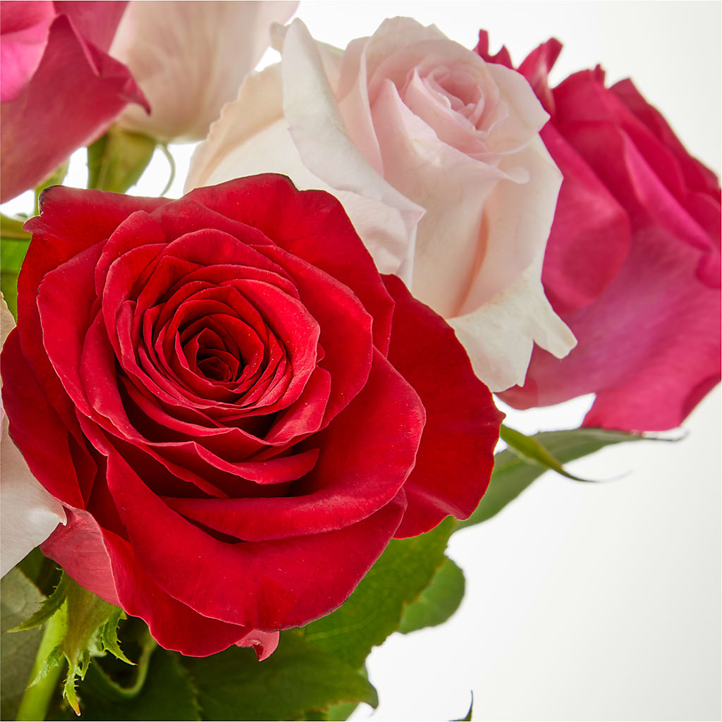 Charming Rose Bouquet –  Delhi Flowers, Delhi ON