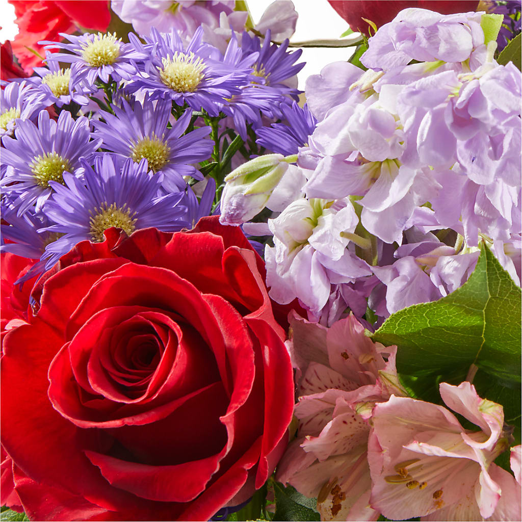 Your Majesty Bouquet –  Delhi Flowers, Delhi ON
