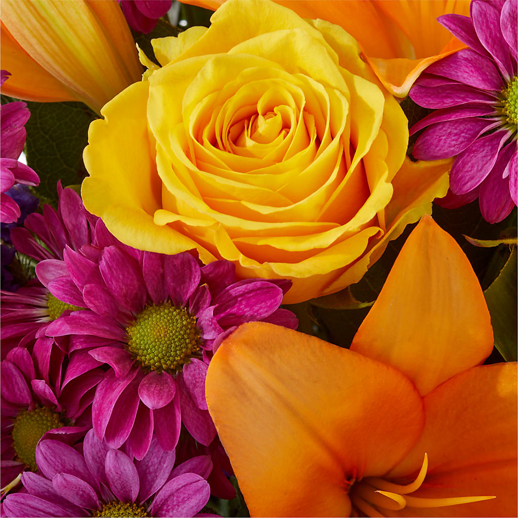 Colorful Visions Bouquet –  Delhi Flowers, Delhi ON