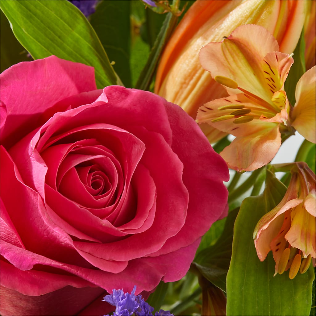Joyful Bouquet –  Delhi Flowers, Delhi ON