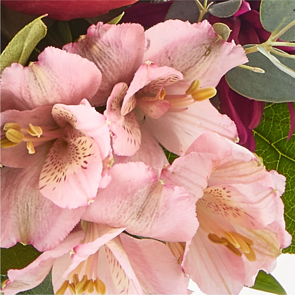 Berry Cobbler Bouquet –  Delhi Flowers, Delhi ON