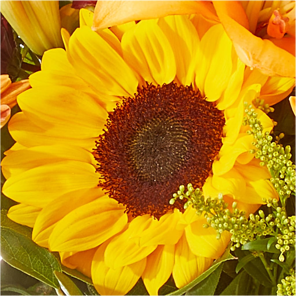 Seasons Change Bouquet –  Delhi Flowers, Delhi ON
