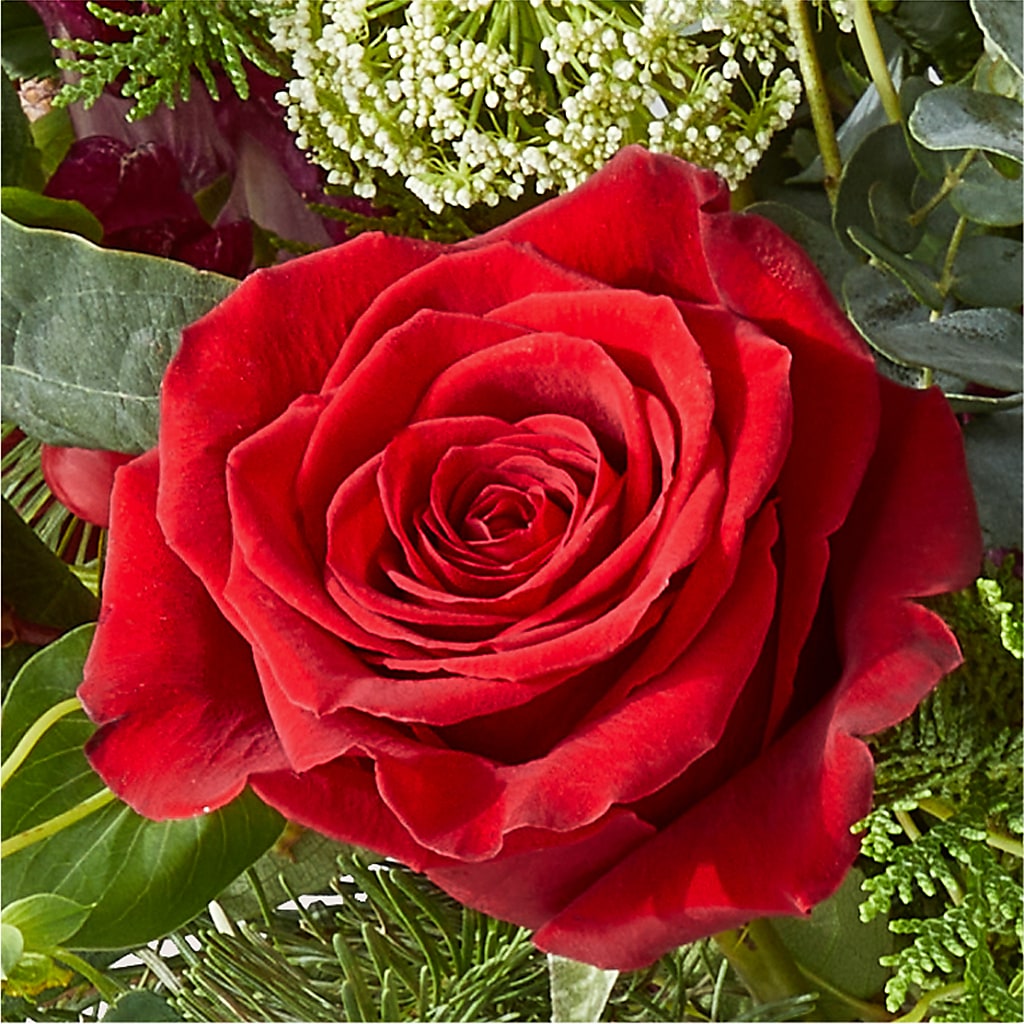 Cranberry Fizz Bouquet –  Delhi Flowers, Delhi ON