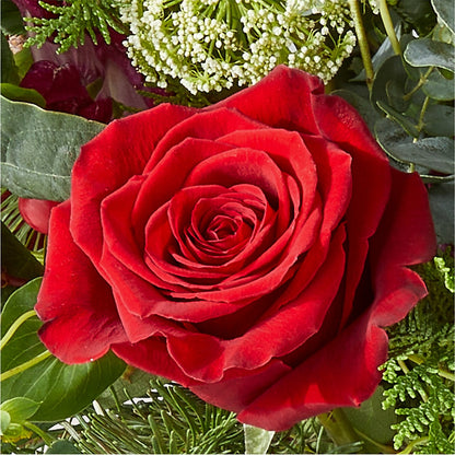 Cranberry Fizz Bouquet –  Delhi Flowers, Delhi ON
