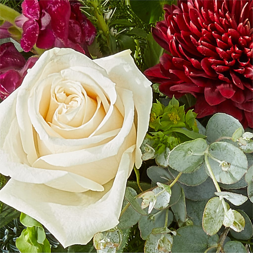 Cranberry Fizz Bouquet –  Delhi Flowers, Delhi ON