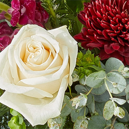 Cranberry Fizz Bouquet –  Delhi Flowers, Delhi ON