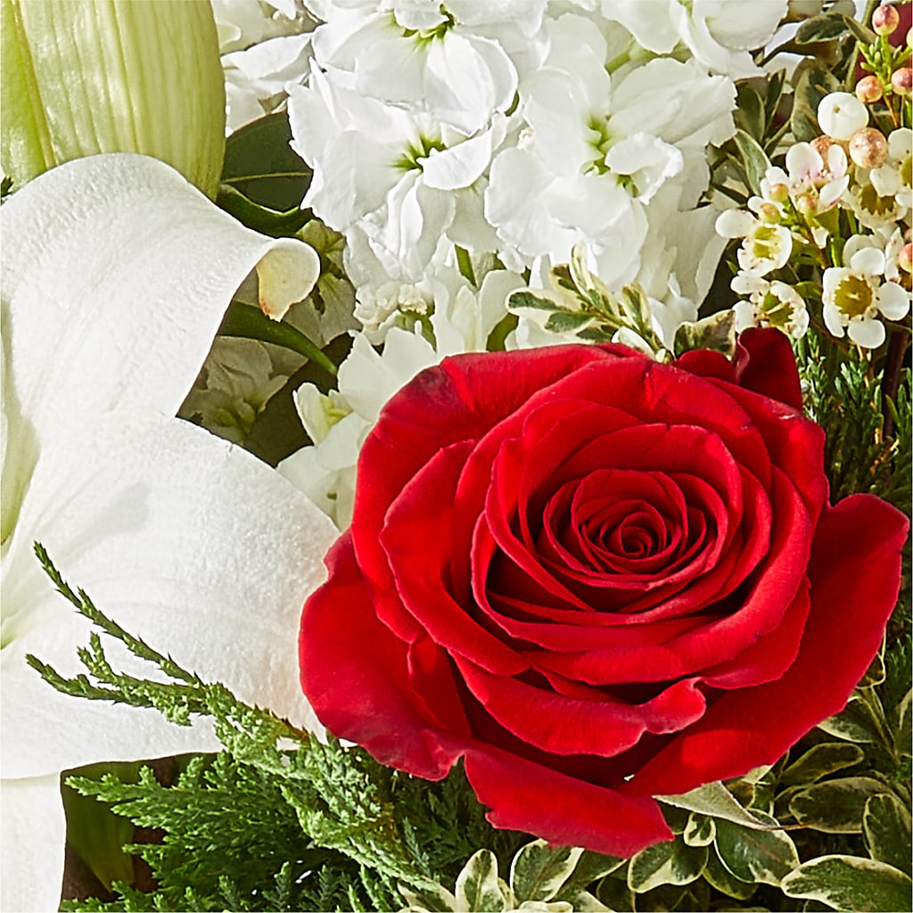 Twinkle Lights Bouquet –  Delhi Flowers, Delhi ON