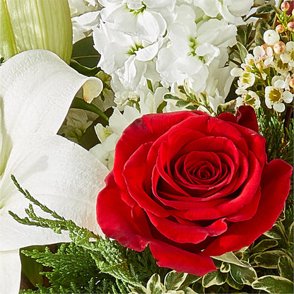 Twinkle Lights Bouquet –  Delhi Flowers, Delhi ON