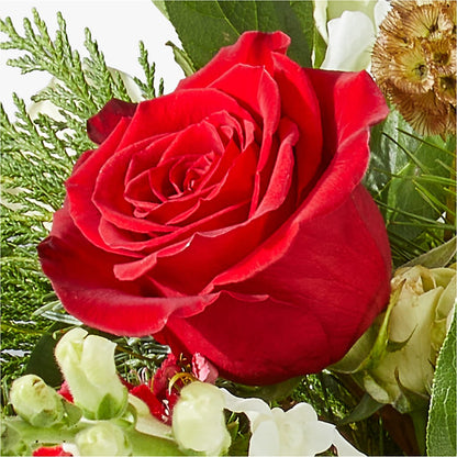 Deck the Halls Bouquet –  Delhi Flowers, Delhi ON