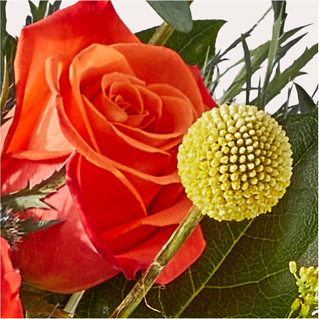 Disco Bouquet –  Delhi Flowers, Delhi ON