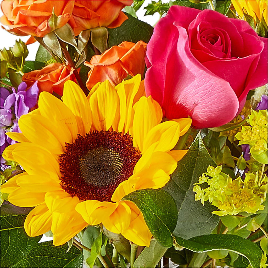Vibrant Greetings Bouquet –  Delhi Flowers, Delhi ON