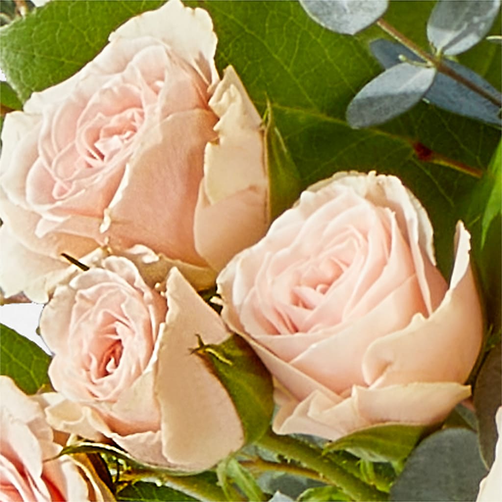 Inspired Bouquet –  Delhi Flowers, Delhi ON