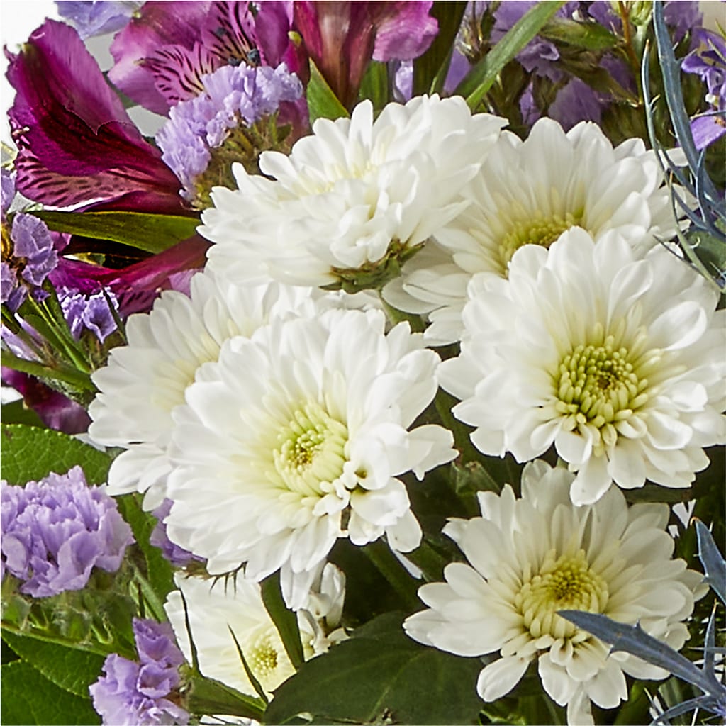 Shooting Star Bouquet –  Delhi Flowers, Delhi ON