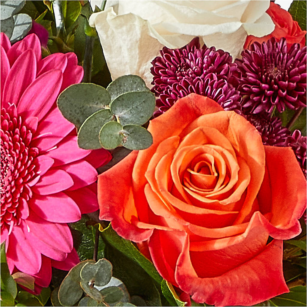 Smell the Roses Bouquet –  Delhi Flowers, Delhi ON