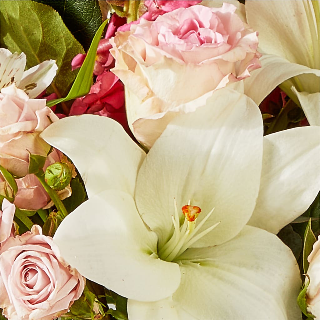 Ballet Slippers Bouquet –  Delhi Flowers, Delhi ON