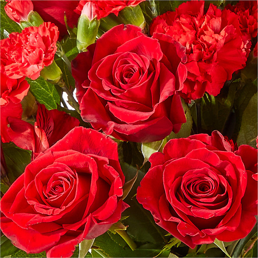 The Heartstrings Bouquet –  Delhi Flowers, Delhi ON