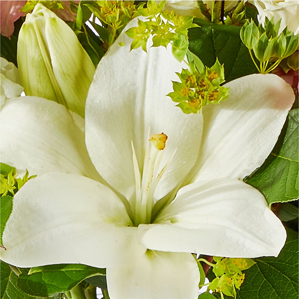 Fondly Bouquet –  Delhi Flowers, Delhi ON
