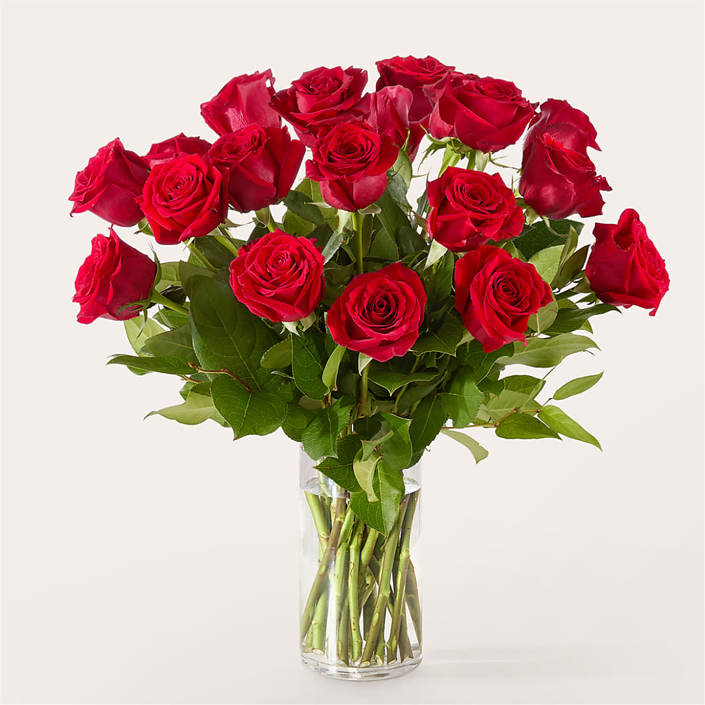 The One Red Rose Bouquet –  Delhi Flowers, Delhi ON