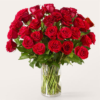 The One Red Rose Bouquet –  Delhi Flowers, Delhi ON
