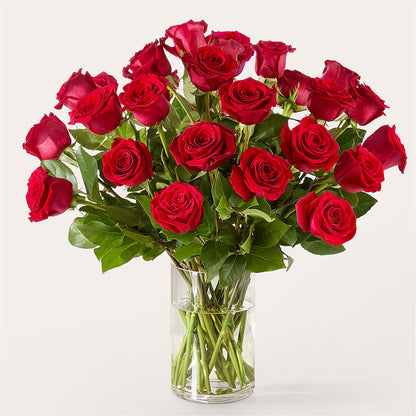 The One Red Rose Bouquet –  Delhi Flowers, Delhi ON