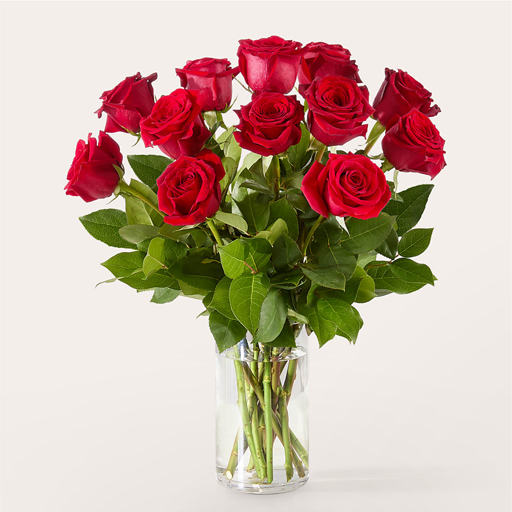 The One Red Rose Bouquet –  Delhi Flowers, Delhi ON