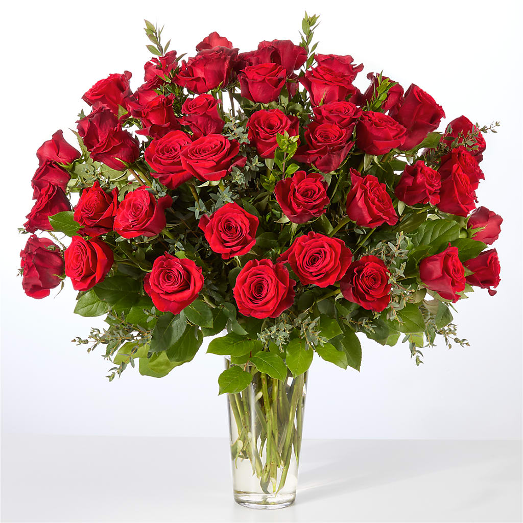 Forever Yours Fifty Stem Red Rose Bouquet –  Delhi Flowers, Delhi ON