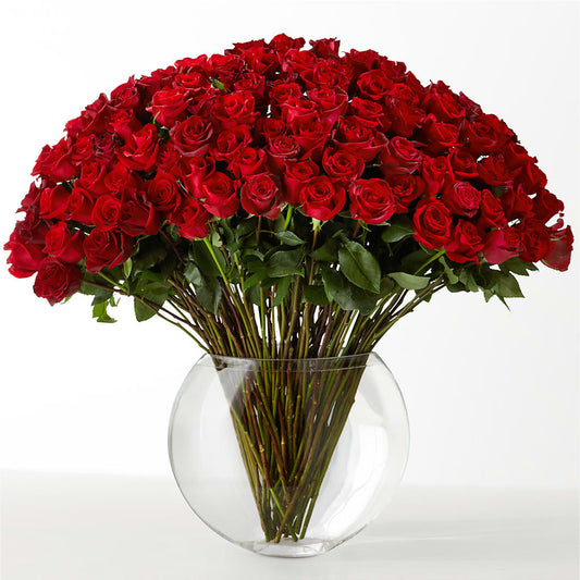 The Idealist –  Delhi Flowers, Delhi ON