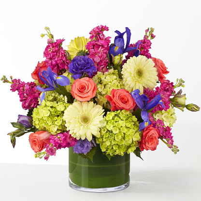 The Couture –  Delhi Flowers, Delhi ON
